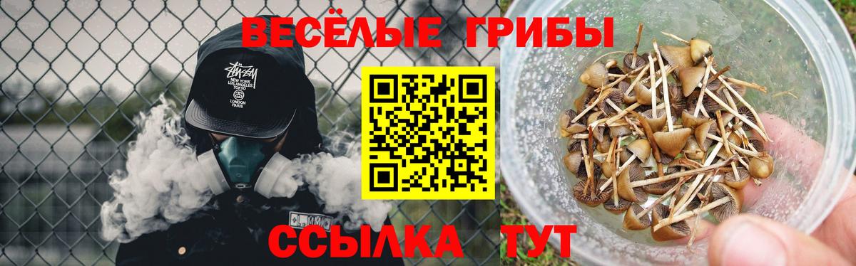 Галлюциногенные грибы MAGIC MUSHROOMS  Вход с VPN  Ялта 